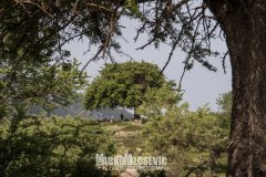 281890150_10158498089071441_4907351831518656801_n