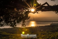 282148075_10158498087991441_5291384109912458084_n