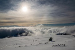 335481199_178438824514666_5273934188323186382_n