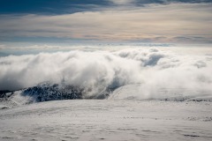 335636922_620706303412876_7999656409176073898_n