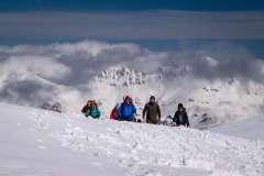 335704882_551515106962456_1530155384988667139_n