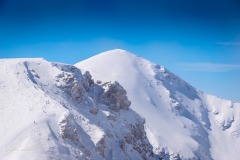 336041711_597423125763274_8204338449626282958_n