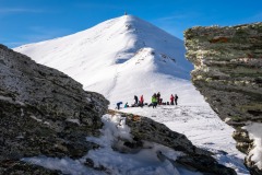 336286396_766033288590010_1175264168769244810_n