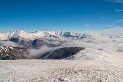 336360610_3432698313680053_1550578197027780946_n