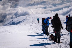 336368544_202863909098889_6638643236089092995_n