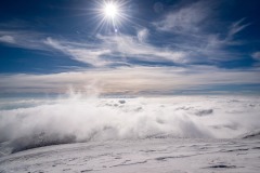 336377555_918890072588991_851995360946610796_n