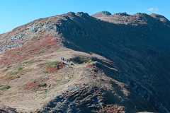 394264716_882166500300284_4612743784122567785_n