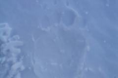 265101669_10158235904841441_1796420940573253304_n