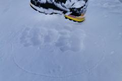 265276465_10158235904816441_6069543675531159593_n