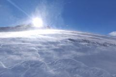 265303451_10158235909121441_8958136203234812209_n