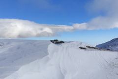 265455786_10158235905681441_1598806252500249823_n