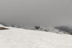 187102367_10157840441446441_8115682419398392775_n