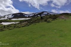 187804718_10157840444586441_5319755118903877663_n