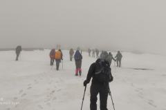 188028566_10157840442251441_7678300104084423299_n