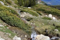 188702466_10157840444086441_3613125984368753311_n