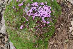 355521431_806450497871885_207326588445187260_n