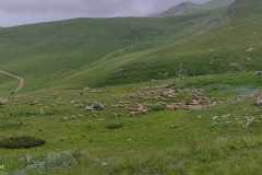 356933139_806450604538541_7759451244892366007_n