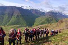 347091754_1384707955685545_8235341704456686427_n