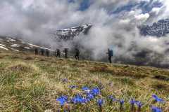 347101610_893843105012813_4971738041853023982_n