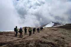 347136177_264111079354369_8501688750082799251_n