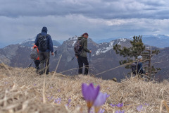 658221327_1583972613452999_5475776959519304036_n