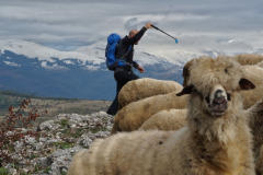 558401855_1437362208114041_8855579309608567782_n