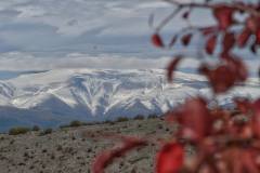 558661412_1437361001447495_3629635525778925453_n