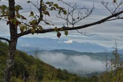 558674526_1437361101447485_6766492342574068329_n