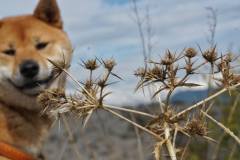 558829506_1437361274780801_9190138759255513538_n