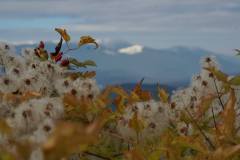 558905079_1437360891447506_5996391456350167287_n