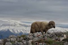 559579567_1437361151447480_2851975321519654029_n