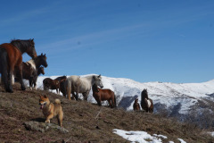 649222418_1569910361525891_4242969112263954844_n