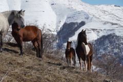 649565876_1569910858192508_2469364653953691901_n