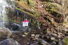 337726534_246577051067087_2118291009630997344_n