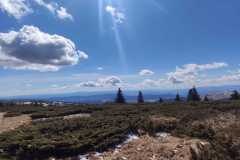 338007283_186648820419910_7545271691851630064_n