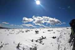 338014914_1909421349398879_4644074715697700448_n