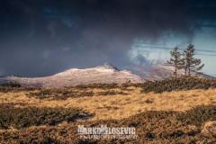 322713497_1168041973850207_180253704786537470_n