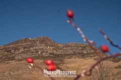 323279799_789654132752366_7467573757046329710_n