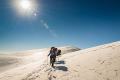 273558466_10158334861091441_8127786629946246289_n