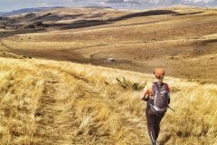 395417512_885478699969064_5674964015011338672_n