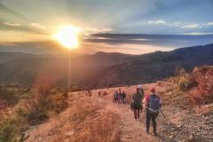 395428701_885479446635656_7672711547533710738_n