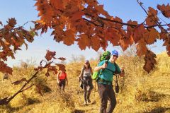 395455357_885479056635695_408629975361042126_n