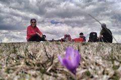 347131454_630274475632689_6323731052479181214_n