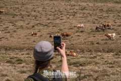 347289616_199143269607557_3092808890577352023_n