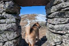 655965408_1579399880576939_8489383197390607845_n