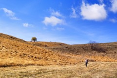 314337864_631282142055389_5603106169385779791_n