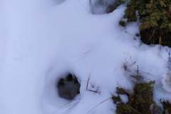 246405034_10158150047671441_5348411943818143441_n