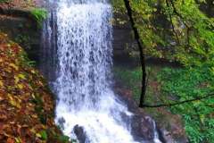 246412304_10158150047451441_5678743469100667163_n