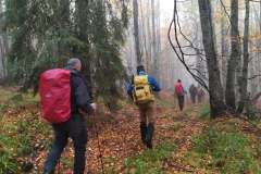 246543387_10158150047771441_1693495867173690243_n