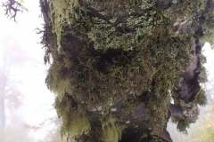 246661978_10158150047716441_6645360892224428465_n